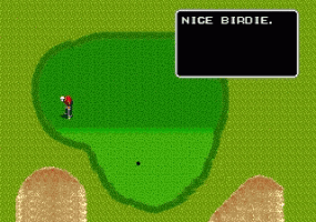Arnold Palmer Tournament Golf Screenthot 2